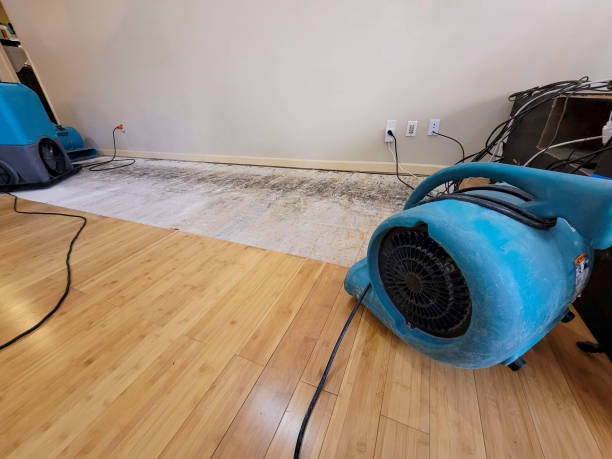 Professional Water Damage Repair technician working in Springfield, ME